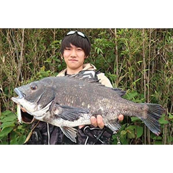 ＫＩＣＫＢＥＡＴ　５５ｍｍ　１７ｇ